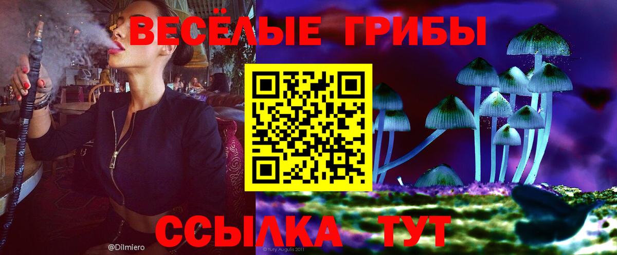 Псилоцибиновые грибы мухоморы  Вход с VPN  Галлюциногенные грибы мицелий  Донской 